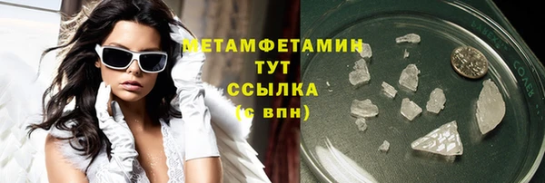 прущие крисы Гусев
