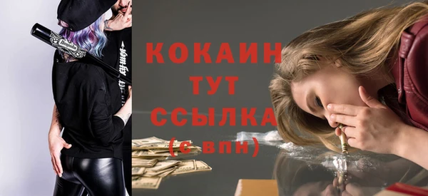 дмт Гусь-Хрустальный