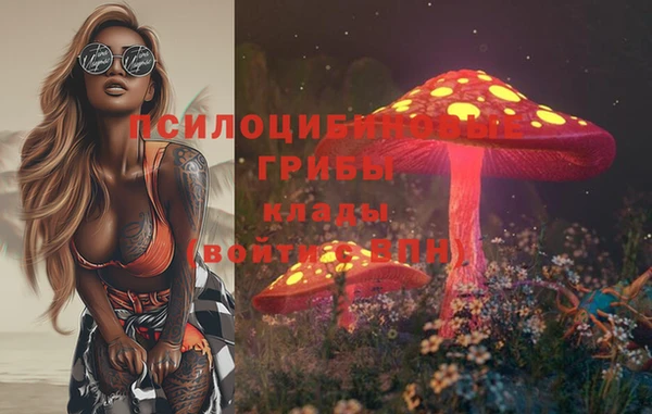прущие крисы Гусев