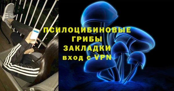 дмт Гусь-Хрустальный