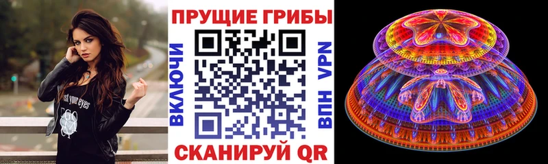Галлюциногенные грибы Psilocybe  Купить где  Альметьевск 