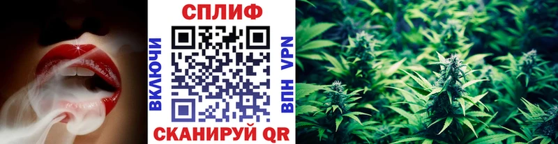 Бошки марихуана план  Купить закладки  Альметьевск 
